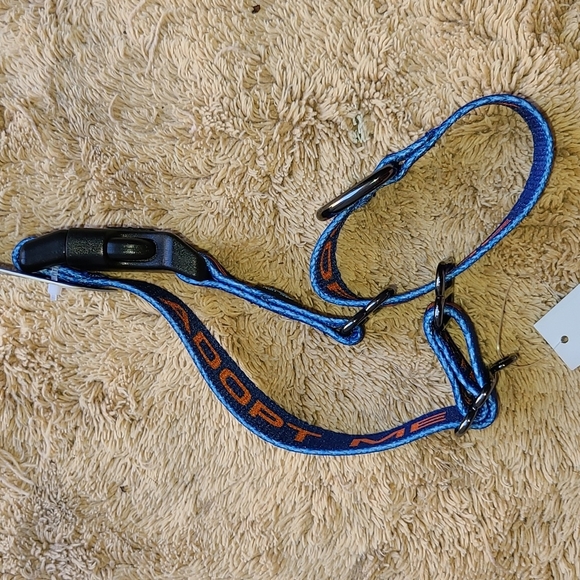 💥HP 💥Nylon Max & Neo Martingale Collar Blue/Orange "Adopt Me" 14"-16.25 - Picture 6 of 10